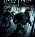 Harry Potter and the Deathly Hallows Part 1 2010