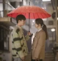 Drama Korea The Midnight Romance in Hagwon 2024 Subtitle Indonesia