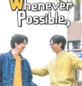 TV Show Whenever Theres a Chance Subtitle Indonesia 2024
