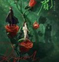 Drama China Rival Love Subtitle Indonesia 2024